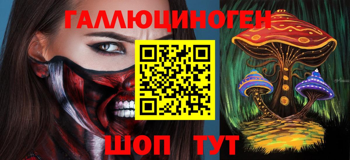 Галлюциногенные грибы прущие грибы  Вход с VPN  Элиста 
