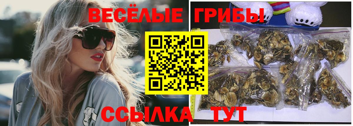 Галлюциногенные грибы прущие грибы Элиста